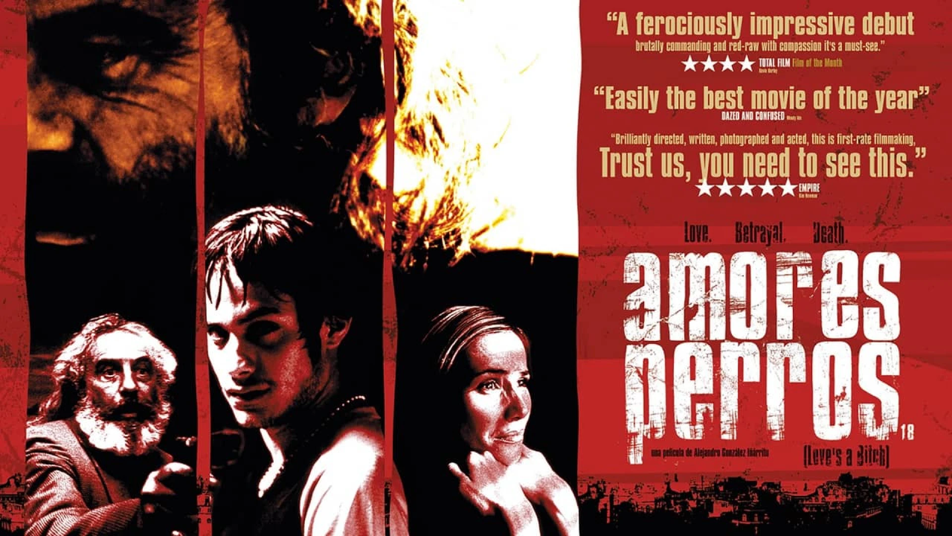 دانلود فیلم Amores Perros 2000
