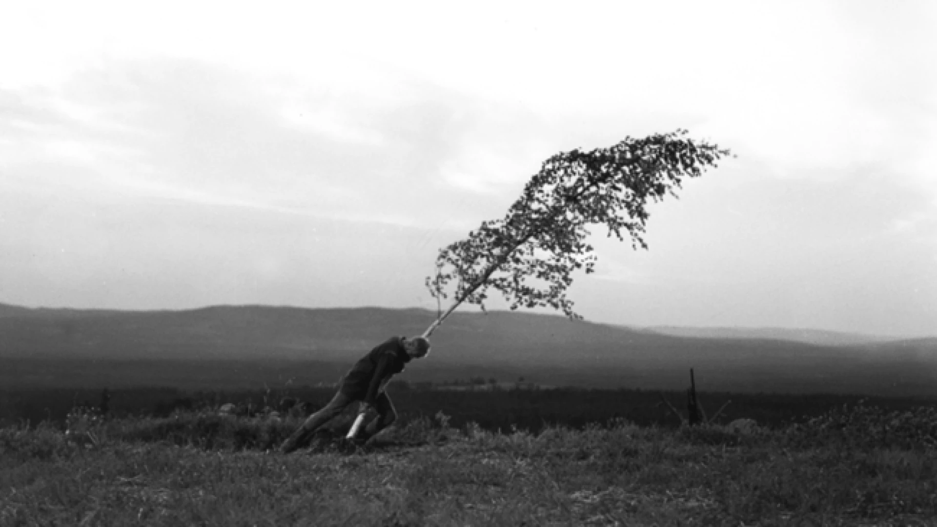 دانلود فیلم The Virgin Spring 1960