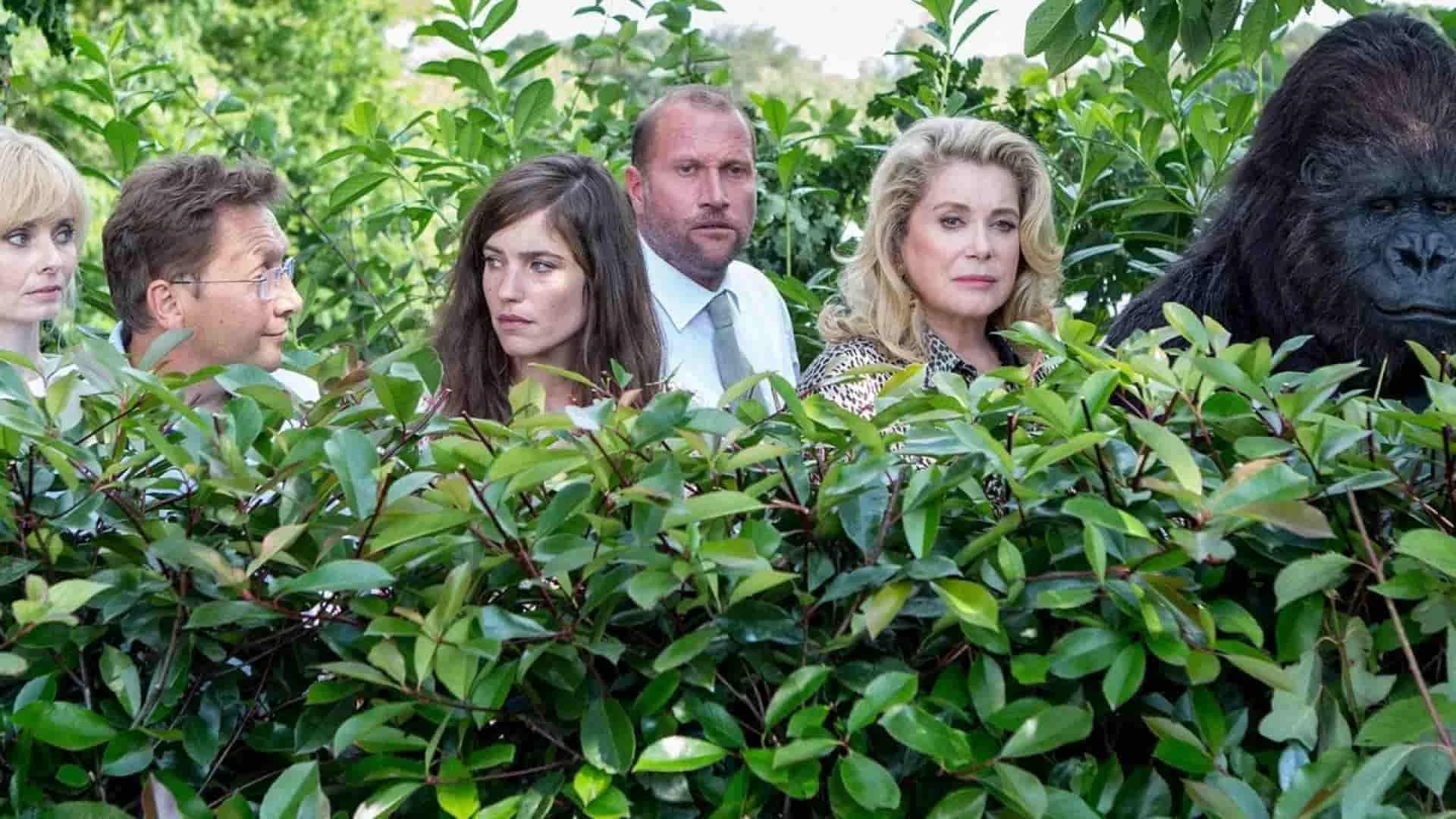 دانلود فیلم The Brand New Testament 2015