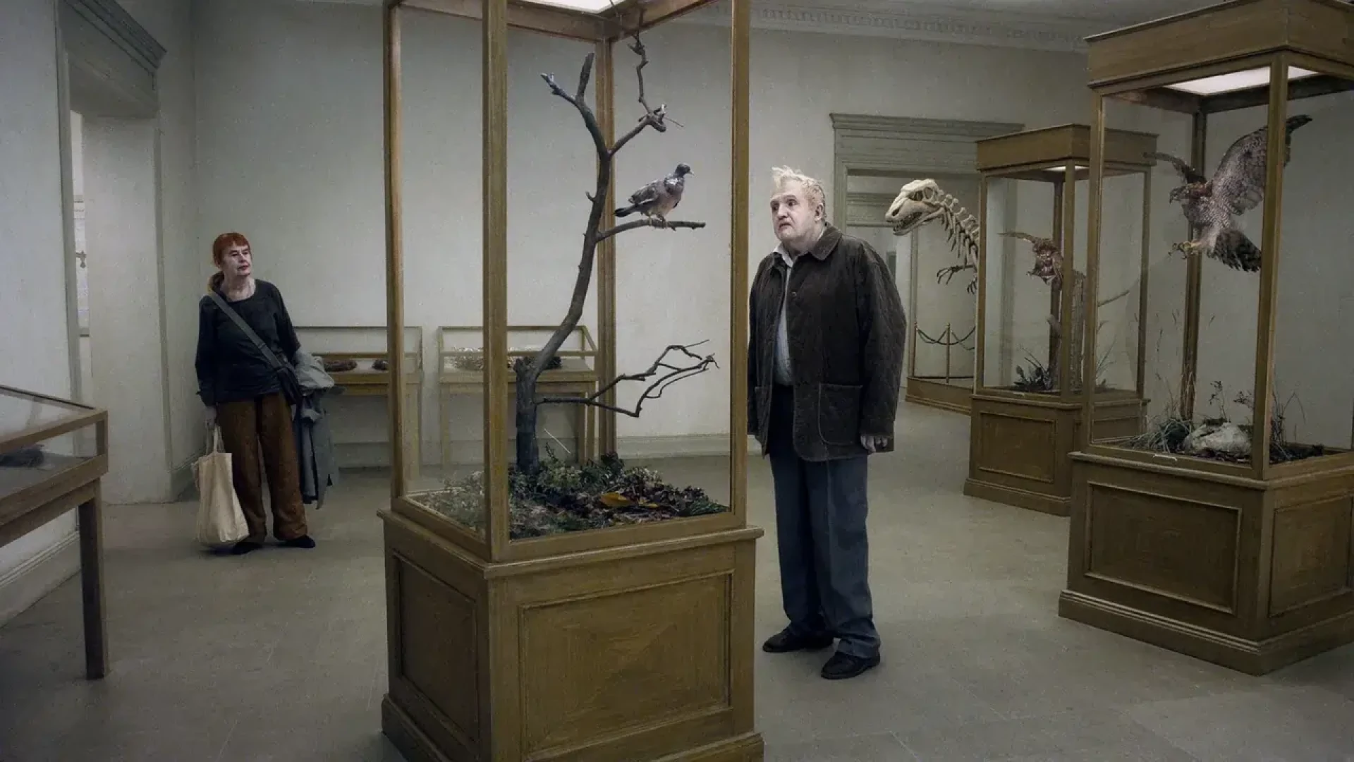 دانلود فیلم A Pigeon Sat on a Branch Reflecting on Existence 2014