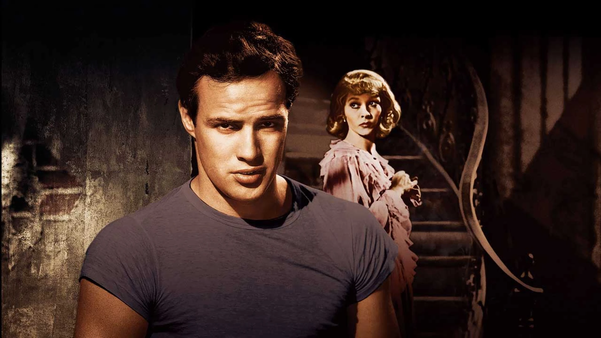 دانلود فیلم A Streetcar Named Desire 1951