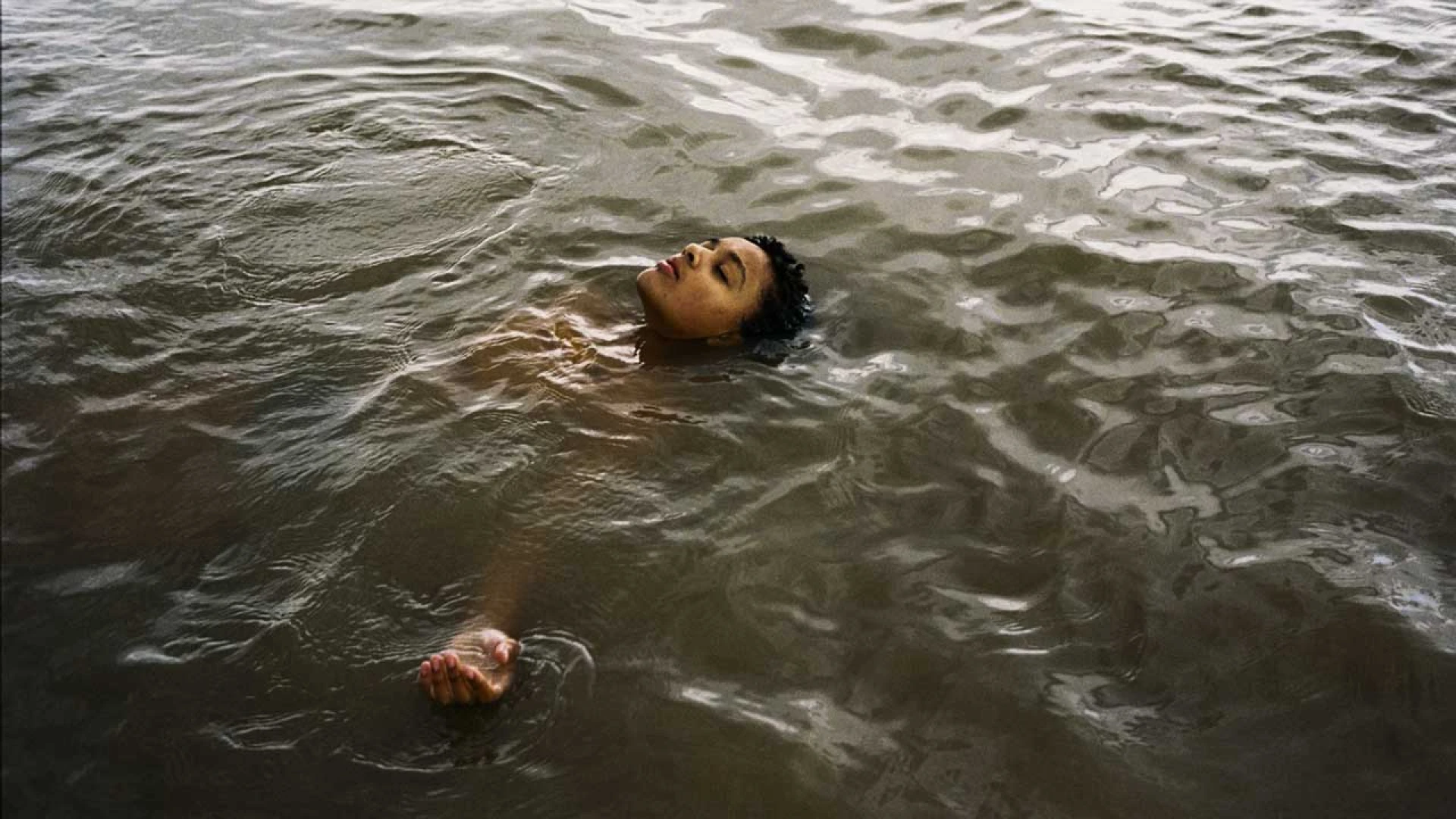 دانلود فیلم Bird 2024