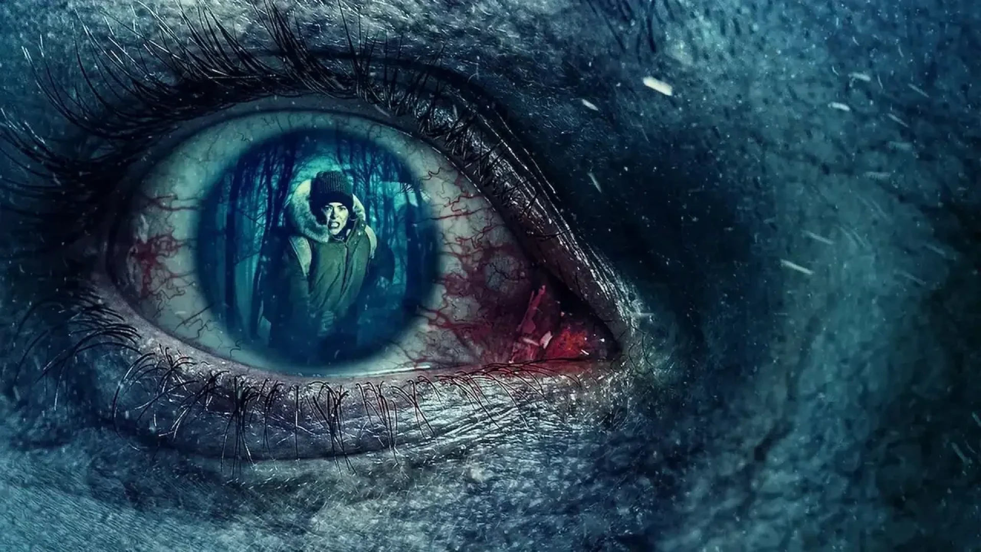 دانلود سریال Black Summer