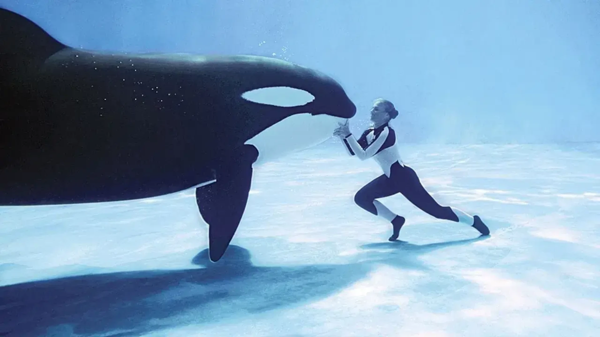دانلود مستند Blackfish 2013
