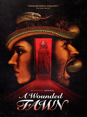 دانلود فیلم A Wounded Fawn