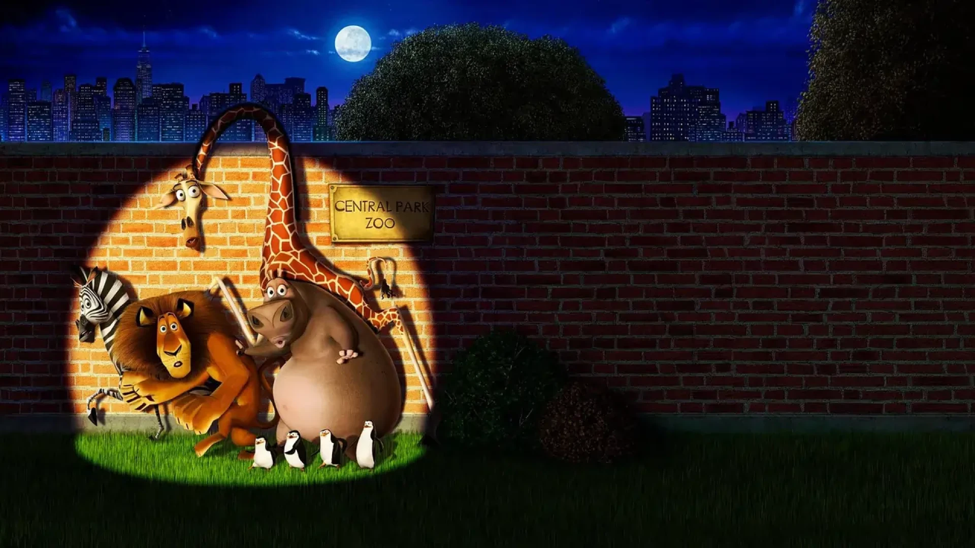 دانلود انیمیشن Madagascar 2005