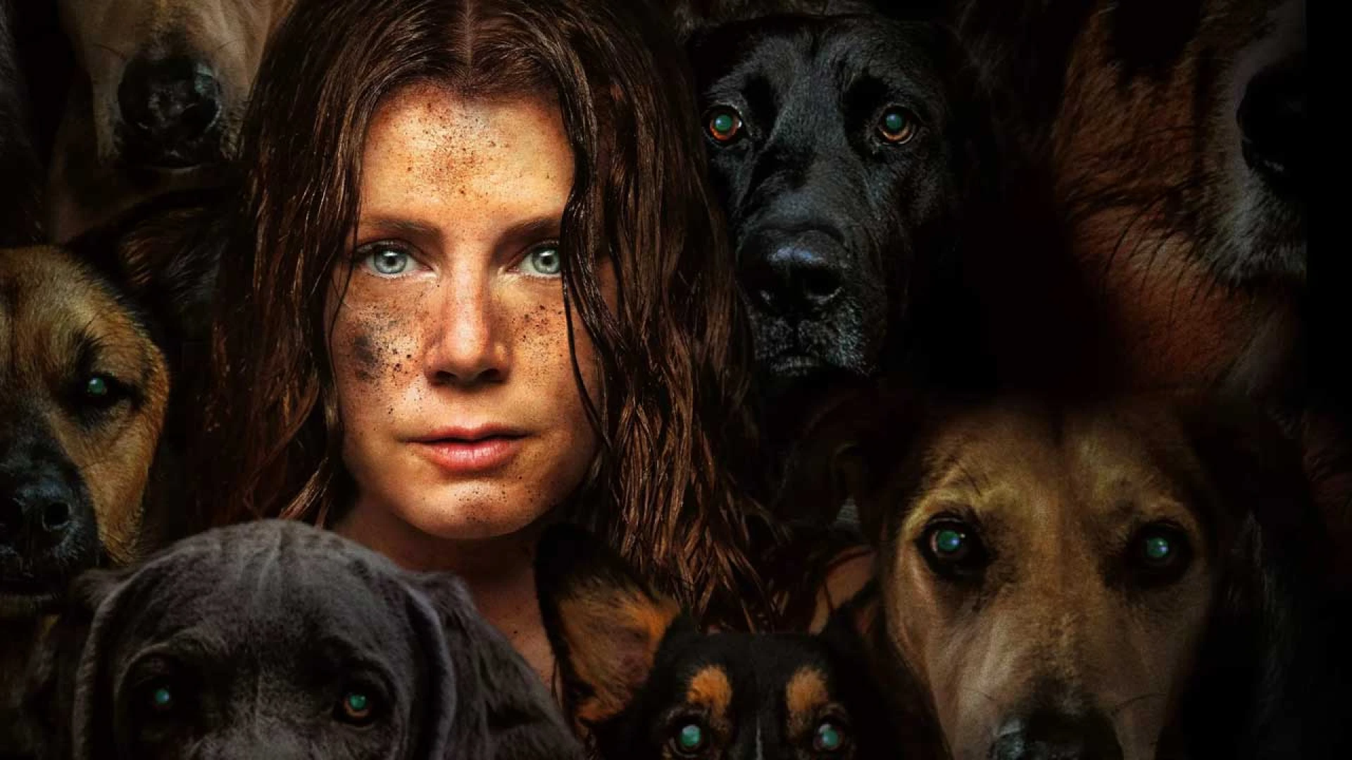 دانلود فیلم Nightbitch 2024