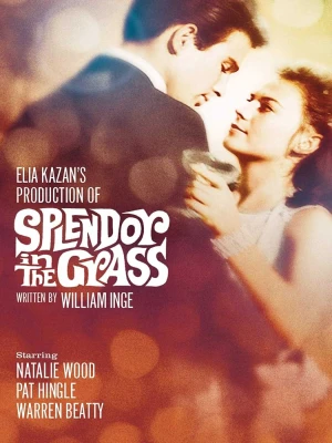 دانلود فیلم Splendor in the Grass