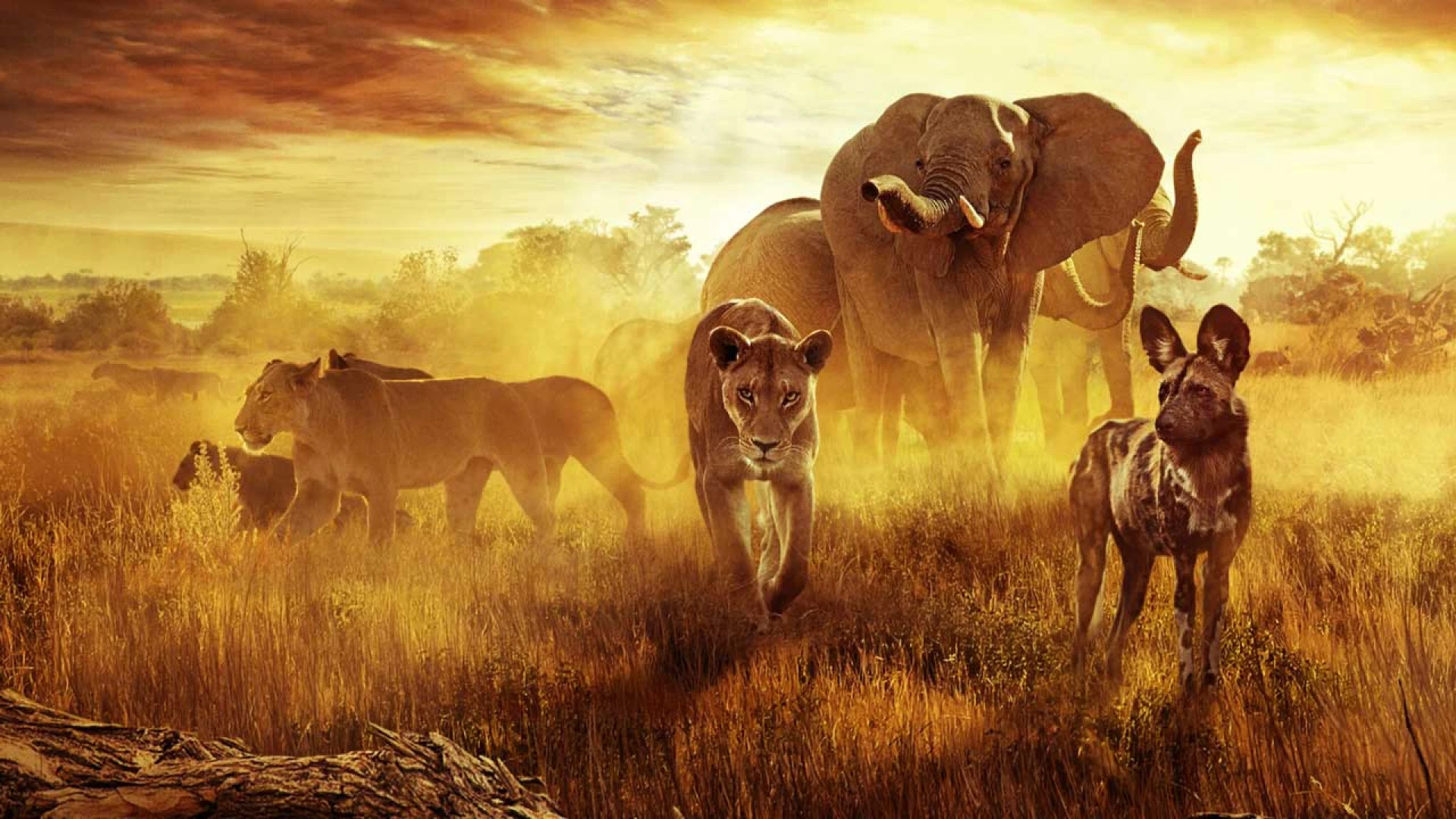 دانلود مستند Surviving Paradise: A Family Tale 2022