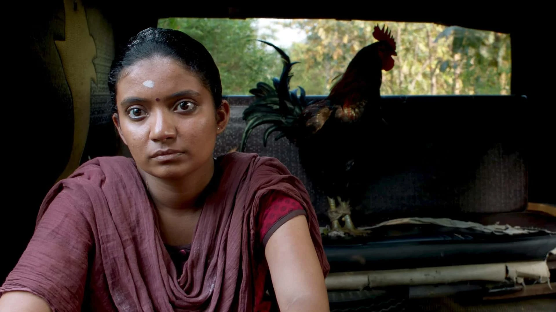 دانلود فیلم The Adamant Girl 2024