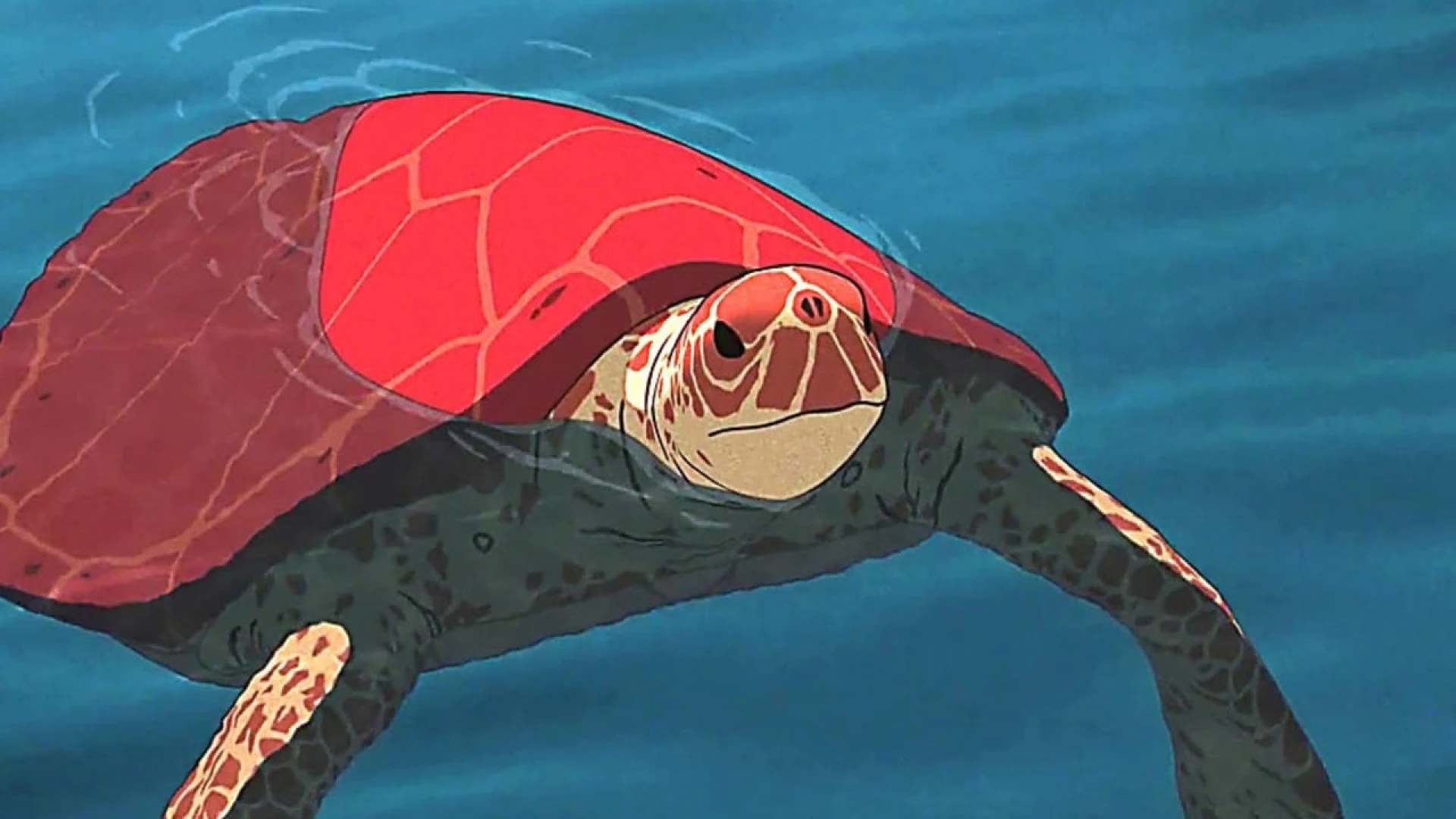 دانلود انیمیشن The Red Turtle 2016