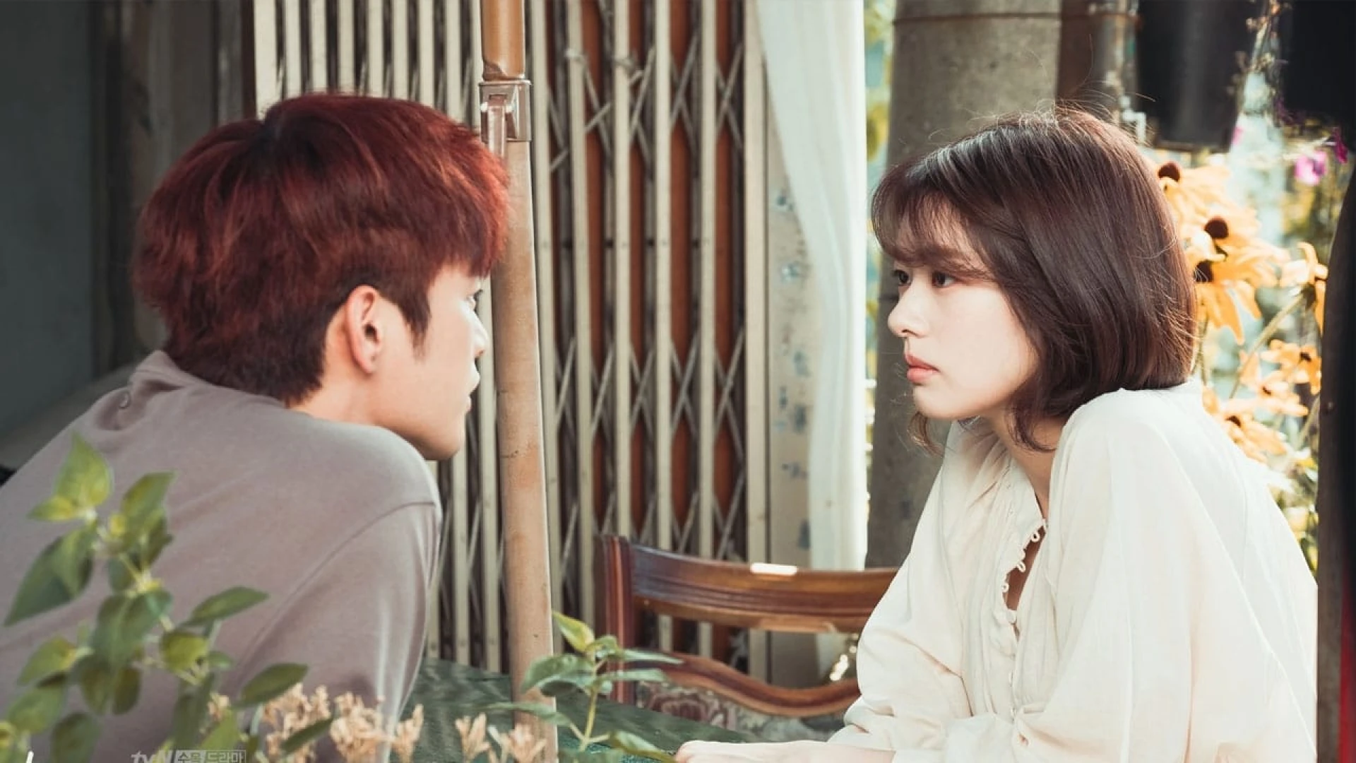 دانلود سریال The Smile Has Left Your Eyes