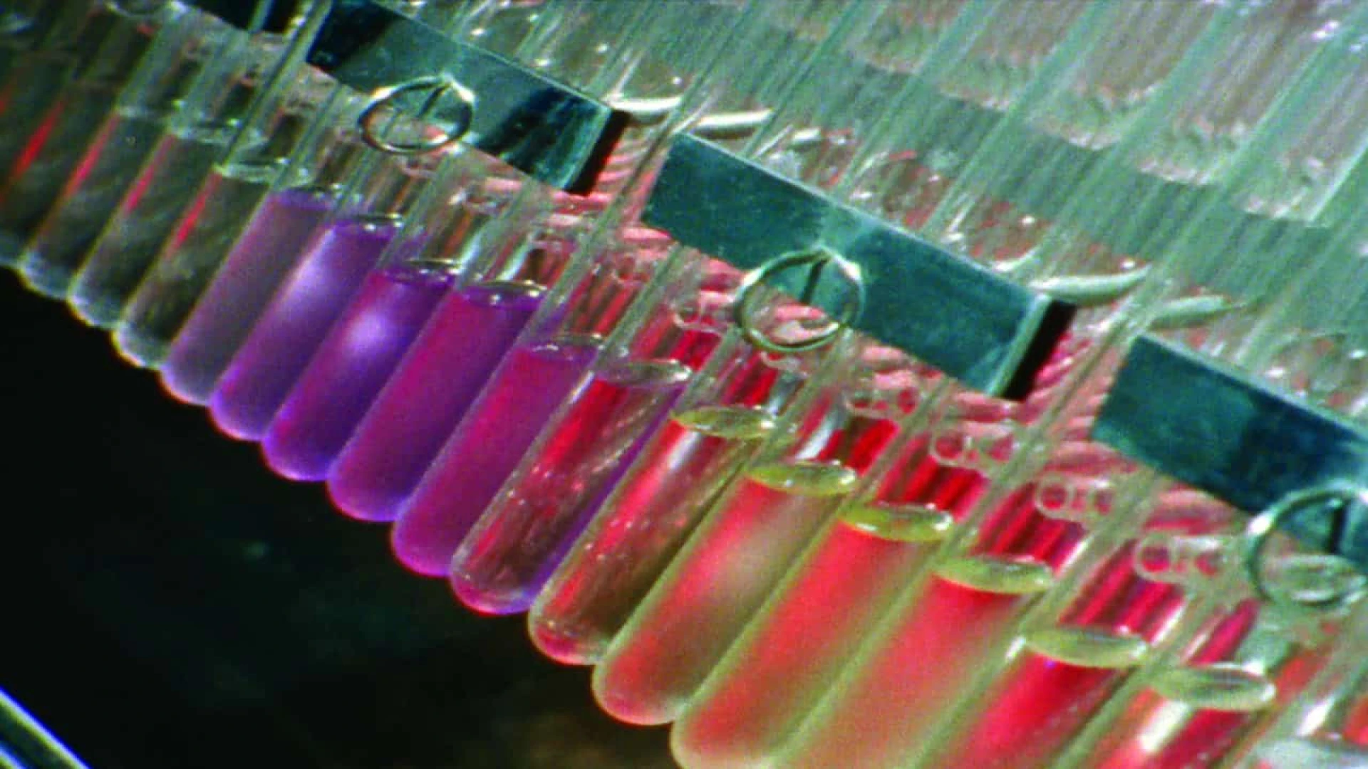 دانلود مستند The Substance: Albert Hofmann's LSD 2011