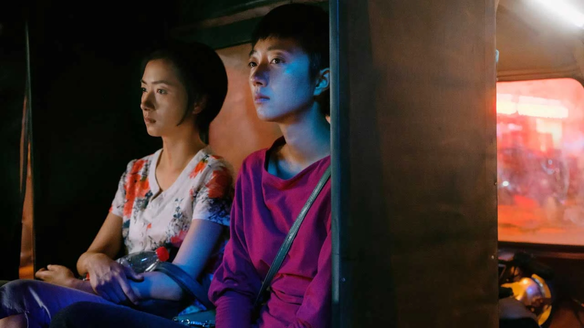 دانلود فیلم The Wild Goose Lake 2019