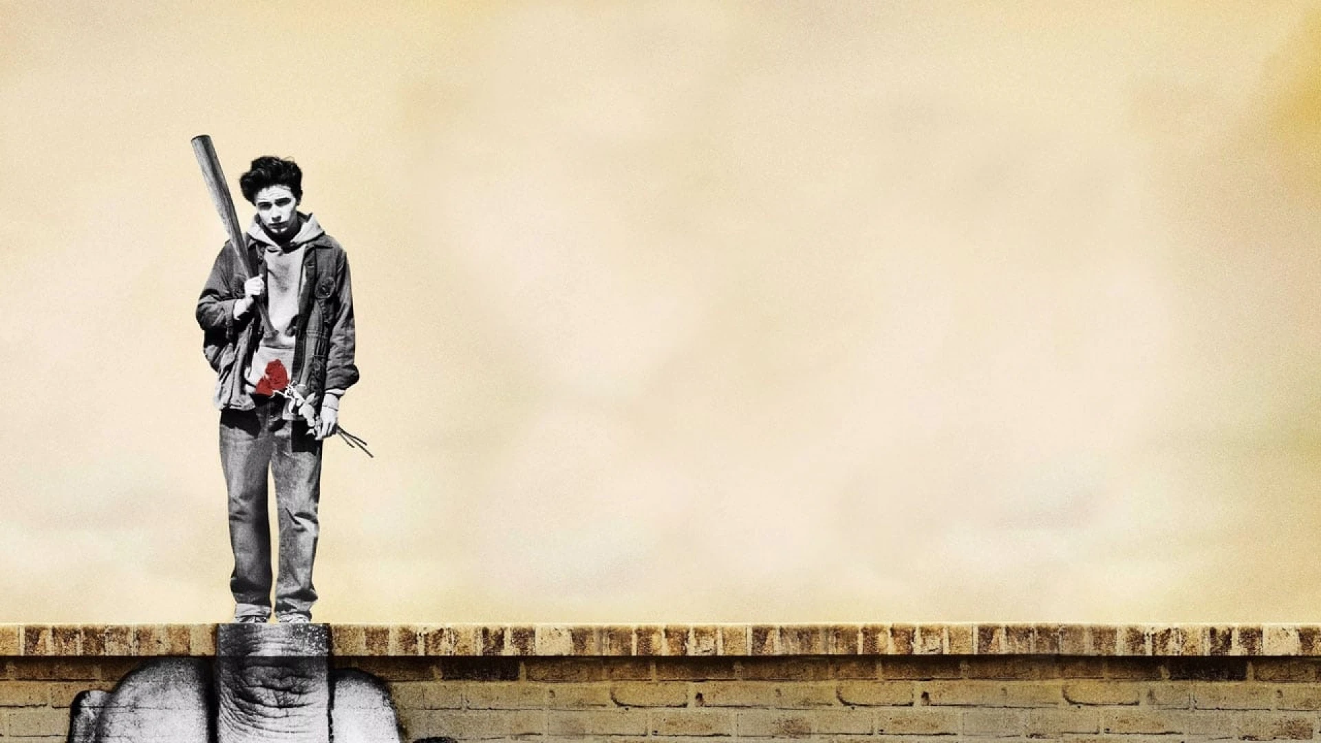 دانلود سریال Wayne