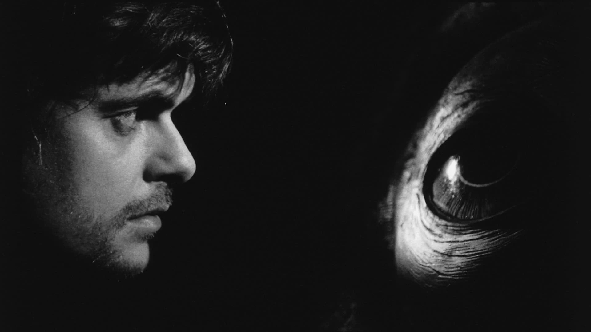 دانلود فیلم Werckmeister Harmonies 2000