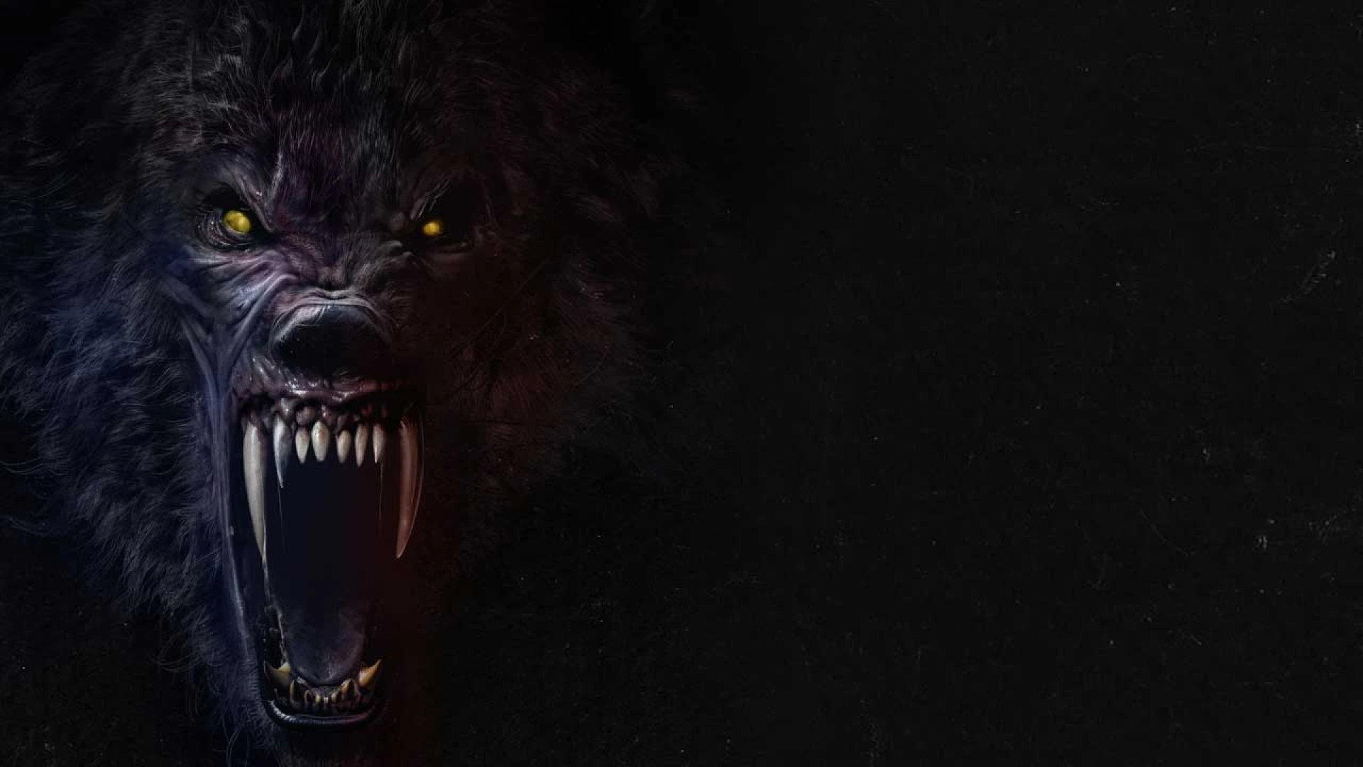 دانلود فیلم Werewolves 2024