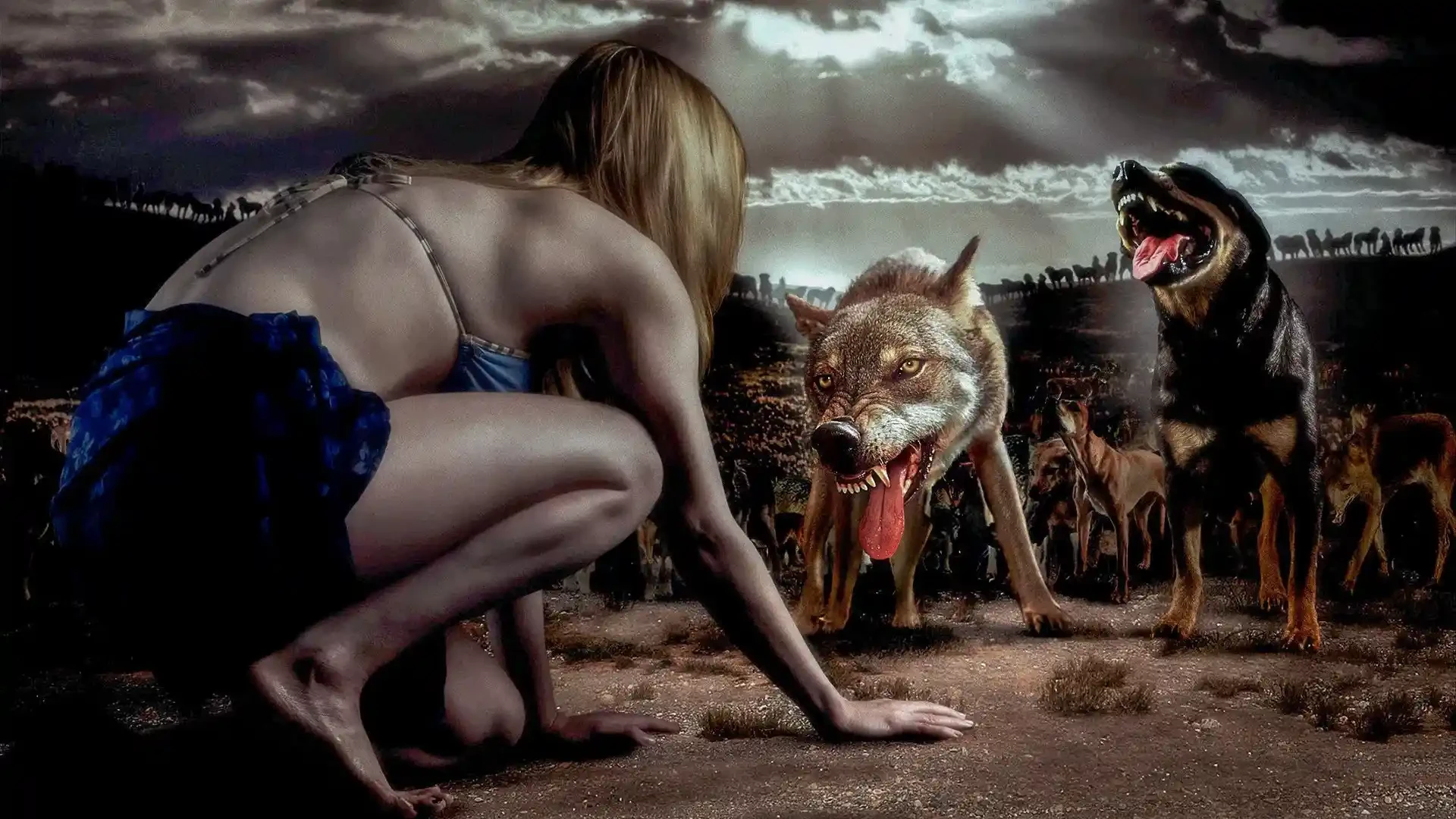 دانلود فیلم The Breed 2006